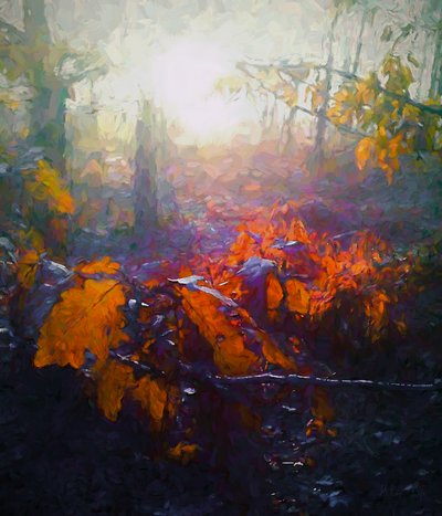 Autumn Forest, 2018 by Helen White